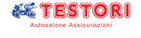 Logo Autosalone Testori srl